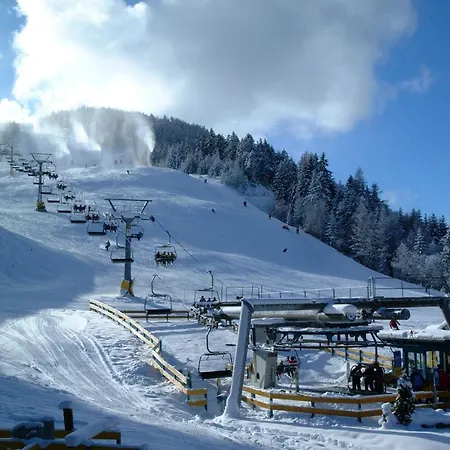 아파트 Appartementhaus Am Gschwandtkopf 제펠드 인 티롤