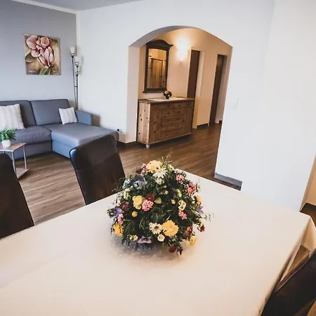 公寓 Appartementhaus Am Gschwandtkopf *